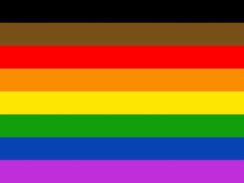 Das Bild zeigt die More Colors, More Pride-Flagge, die aus horizontalen Streifen in den Farben Schwarz, Braun, Rot, Orange, Gelb, Grün, Blau und Lila besteht. Die oberen zwei Streifen, Schwarz und Braun, repräsentieren People of Color innerhalb der LGBTQ+ Gemeinschaft. Die folgenden sechs Farben sind die traditionellen Regenbogenfarben: Rot, Orange, Gelb, Grün, Blau und Lila.